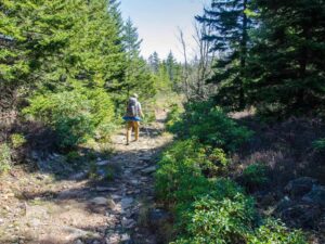 1 header dolly sods traverse