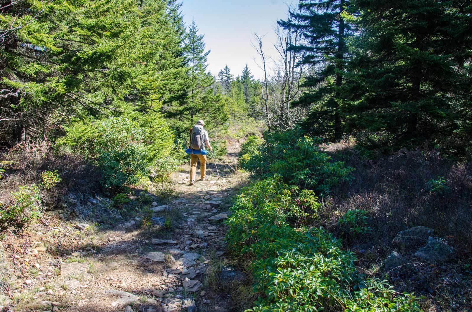 1 header dolly sods traverse